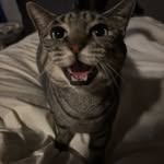 Nathan Sargent - @the.funga - Instagram