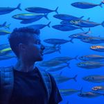 Nathan Sass - @dolphiner711 - Instagram