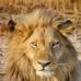 Sassemi Nathan - Facebook