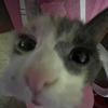 Nathan Schatzer - @nathanschatzer - TikTok