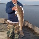 Nathan Schatzman - @schatzmannathan - Instagram