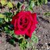 Schalk Nathan Swanepoel - Facebook