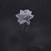 DEBASHISH_ROY - @nathan.schefflerr - TikTok