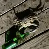 Nathan Searle528 - @mrsloth_8 - TikTok