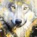 Nathan Seitz - Facebook