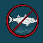 Nathan Senior - @nowetfishpod - Instagram