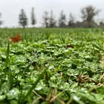 Nathan Vorhies - @nathan_seniorproject - Instagram