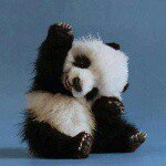 call me panda! - @nathan_serrano_ - Instagram