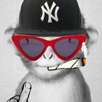 nathan serrano - @nathanserrano50 - Instagram