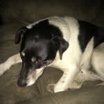 Nathan Settle - @deer13 - Instagram
