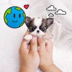 Nathan Settles - Facebook