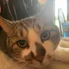 nathansevigny793 - @nathansevigny793 - TikTok