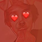 Nathan Shane - @nathan.shane0915 - Instagram