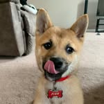 Nathan Shane - @nathan_shane_1 - Instagram