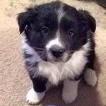 Nathan Shanks - @shanks_nathan - Instagram
