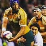Nathan Sharpe - @nathansharpe - Instagram