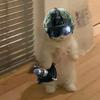 Nathan - @nathan.sheckler10 - TikTok