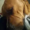 Nathan Schellenberge - @nathanschellenber - TikTok