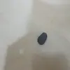 nathansherer - @nathansherer0 - TikTok
