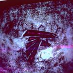 Nate - @nathan_shockley0111 - Instagram