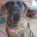 Nathan Shope - @western_tiny_house_adventures - Instagram