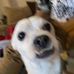 Nathan Sierra - Facebook