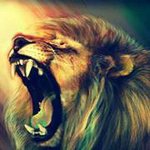 Nathan Singleton - @kingnathan69 - Instagram