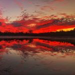 Nathan Singleton - @wild_living_photography - Instagram