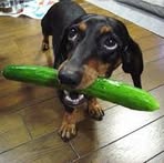 Nathan Skipper - Facebook
