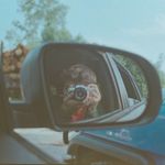 Nathan Sneed - @nathan.p.sneed - Instagram