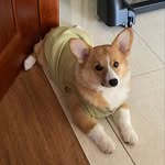 Nathan Sok - @nathan_071413 - Instagram