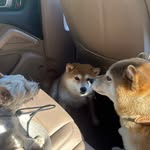 Nathan Sok - @nathan.s0k - Instagram