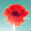 Nathan Sokul - @nathan.sokul - TikTok