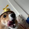 nathansok1 - @nathansok1 - TikTok