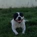 Nathan Sokolowski - Facebook