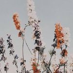Nathan Somerville - @somerville.biz - Instagram