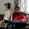nathansonnenberg8 - @nathansonnenberg8 - TikTok