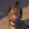 Nathan Soto - @nate.s32 - TikTok