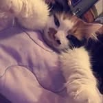 Nathan Sowers - @nathan687458 - Instagram