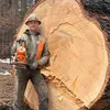 Nathan spangle - @nathan.spangle6 - TikTok