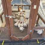 Nathan Spicer - @nspicerrn - Instagram