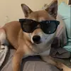 Nathan Spicer - @nathan.spicer - TikTok