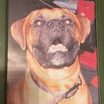 Nathan Sprinkle - Facebook