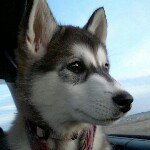 @nathan_stacey - Instagram