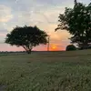 Nathan Stackhouse - @nathanmurica - TikTok