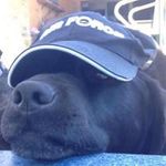 Nathan Staley - @staley.nathan - Instagram