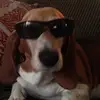 nathanstaley38 - @nathanstaley38 - TikTok