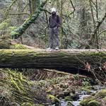 Nathan Stallard - @nathan_stallard - Instagram