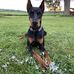 Nathanial Stammen - Facebook
