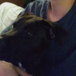Nathanial Starnes - @_nathanial_starnes_ - Instagram